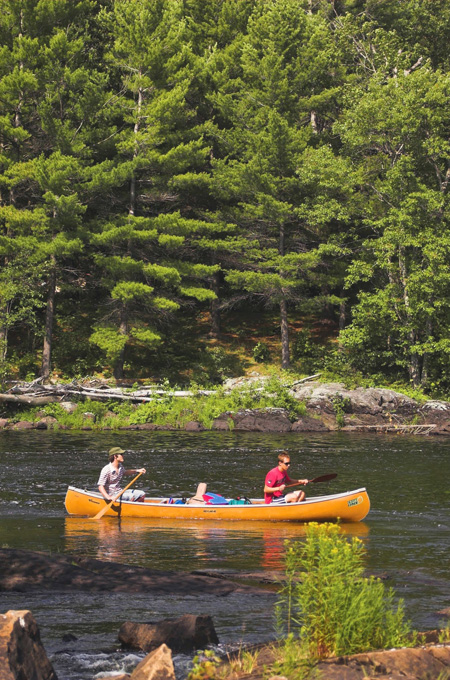 Two people canoeing on a river, by some tall evergreen trees