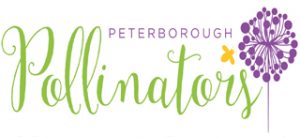 Peterborough Pollinators logo